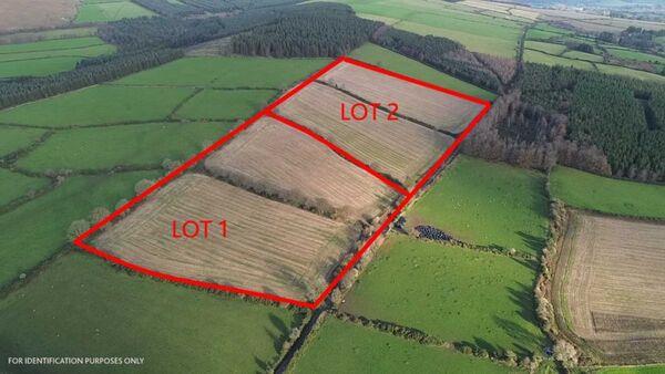 33-acre Wicklow farm sells at pre-Christmas auction